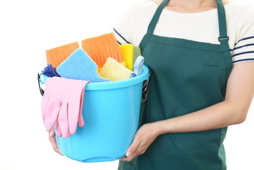 Detailed bathroom cleaning during a move-out clean in W6