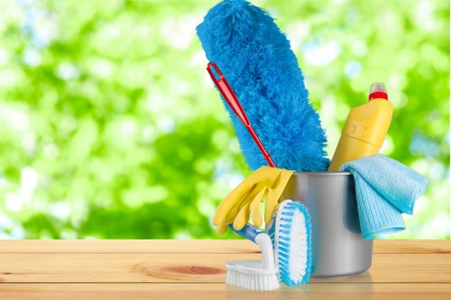 Professional oven cleaning service for homes in W6