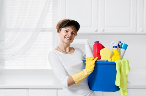 Low-carbon van used by Cleaners W6