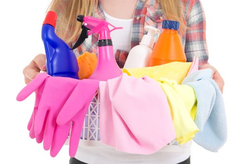 Deep treatment for urine and pet smell removal in a W6 apartment