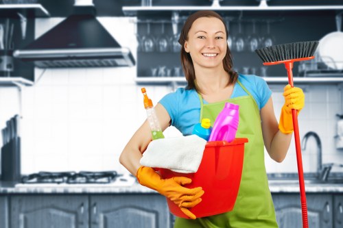 Professional deep cleaning of carpet fibres in W6