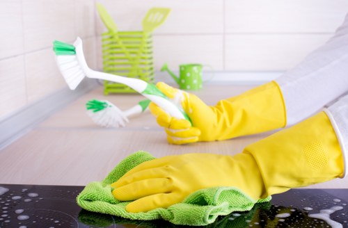 Professional mattress cleaning service for homes in W6