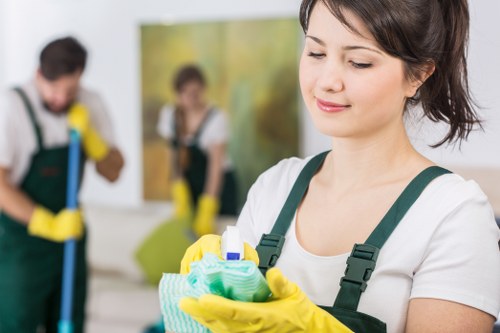Local upholstery cleaner working in a W6 property