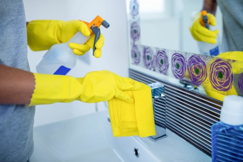 Safe cleaning practices in a professional environment
