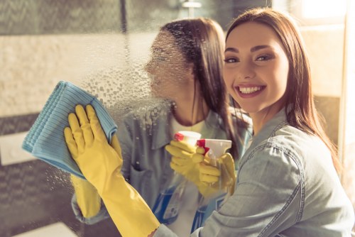 Carpet and sofa stain cleaning for residential and commercial customers
