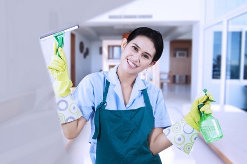 Deep cleaning treatment for stained mattress in West London